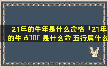 21年的牛年是什么命格「21年的牛 💐 是什么命 五行属什么」